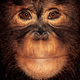 Illustration for article titled Primate portraits invite you to see apes as individuals